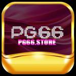 PG66 store Profile Picture