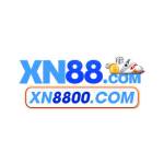 xn8800 com Profile Picture