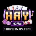 HAYWIN Profile Picture