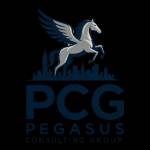 Pegasus Group Inc Profile Picture