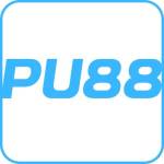 PU88 skin Profile Picture