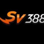 sv388 Profile Picture