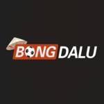 Nhà cái Bongdalu Profile Picture