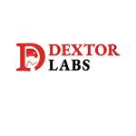 Dextor Labs Profile Picture