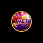 Netwin com co Profile Picture