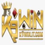 K9WIN it com Profile Picture