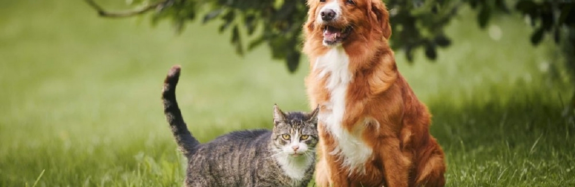 Healthier Pet Cover Image