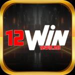 12win me Profile Picture