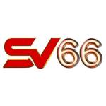 sv66 senet Profile Picture