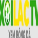 braidiocom giả mạo Profile Picture