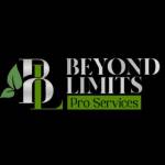 Beyond Limits Pro Services Profile Picture