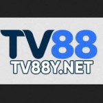 TV88Y Net Profile Picture
