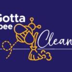 Gotta bee Clean Profile Picture