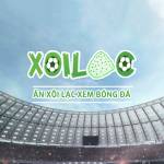XOILAC XOILAC Profile Picture