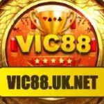 Vic88 Uknet Profile Picture