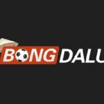 Nha cai Bongdalu Profile Picture