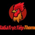 Dagatructiepthomo today Profile Picture