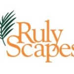 Ruly Scapes Profile Picture