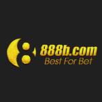 888B com Profile Picture