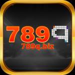 789q biz Profile Picture