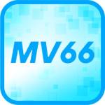 MV66 MV66 Profile Picture