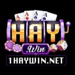 Haywin Sân chơi game đổi thưởng Profile Picture