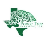 Ponce Tree Services Profile Picture