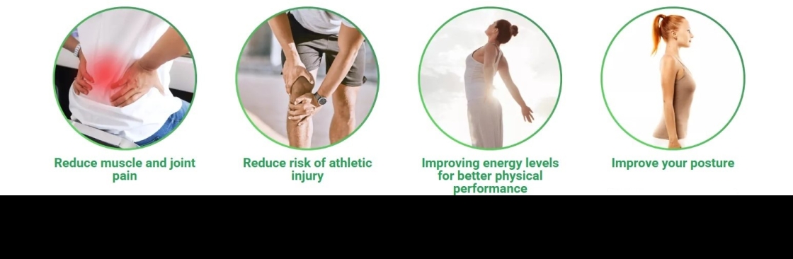 The Holistic Move Cover Image