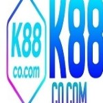 K88 Profile Picture