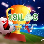 Xoilac TV Official Profile Picture