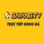 gavang tv Profile Picture
