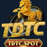 TDTC Thiên Đường Trò Chơi Profile Picture