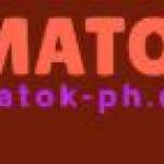 MATOK MATOK Profile Picture