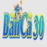 Banca30 Profile Picture