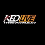 Tysobongda blog Profile Picture