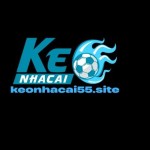 KÈO NHÀ CÁI 55  NƠI CUNG CẤP KÈO XANH CHÍN NHẤT 2025 Profile Picture