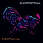 ĐÁ GÀ TRỰC TIẾP THOMO CAMPUCHIA Full HD HÔM NAY Profile Picture