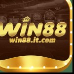 win88it com Profile Picture