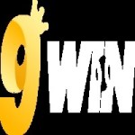 9WIN CN COM Profile Picture