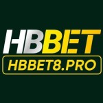 HBBET Profile Picture
