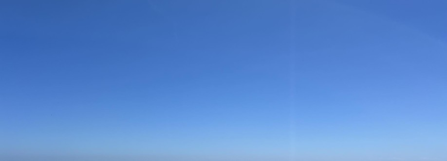 Minh Trí Trí Cover Image