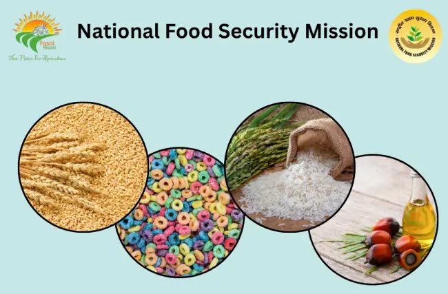 एनएफएसएम (National Food Security Mission): भारत में खाद्य सुरक्षा और कृषि विकास का मजबूत आधार