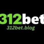 312bet blog Profile Picture