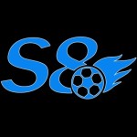 S8 team Profile Picture