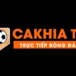 antiracistusa org thao túng kết quả Profile Picture