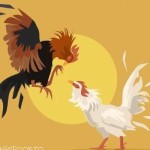 Thomohomnay Profile Picture