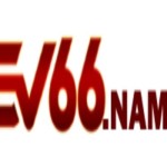 Sv66 name Profile Picture