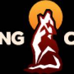 coyote theroaming Profile Picture
