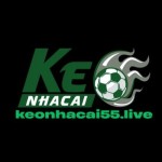 Kèo Nhà Cái 55 Phân Tích Tỷ Lệ Chuẩn Xác Bắt Kèo Hiệu Quả Mỗi Ngày Profile Picture