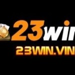 23win vin Profile Picture